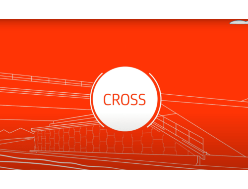 The Cross Business Line for Crossing Structures